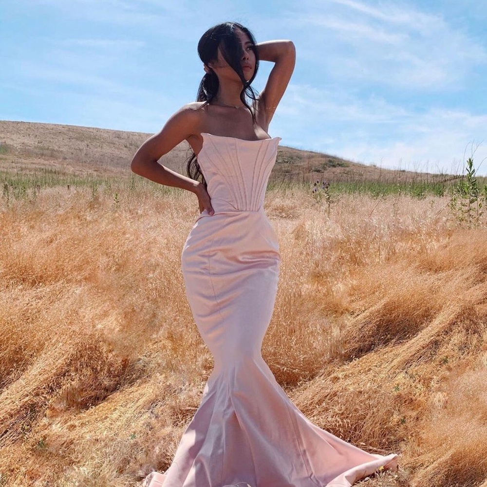 House of CB Pink Malika Corset Dress Retail $225